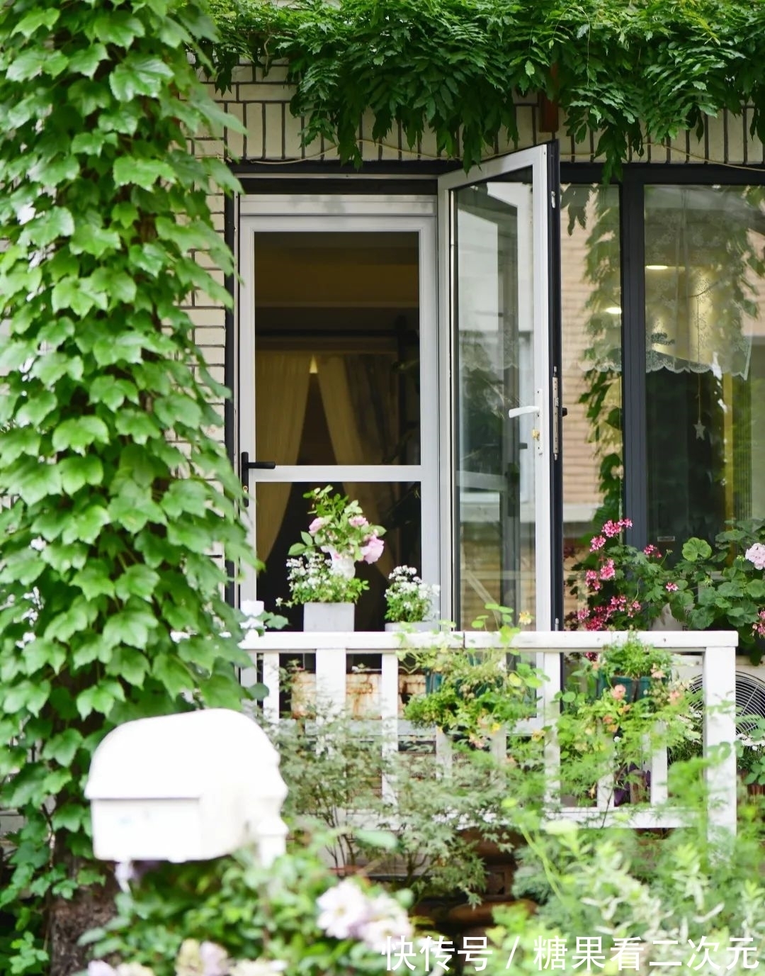 王俐|服装设计师兼花园设计师,裁剪最美的花园时光