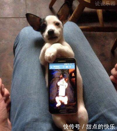 |搞笑GIF：第一次见女方家长，该怎么办