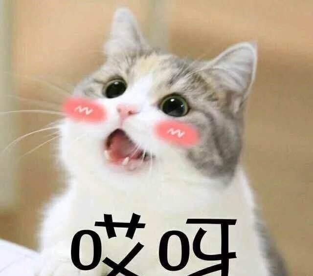 色号 黄皮女人挑口红也太难了吧?别急,送你5个色号,显白耐看又显贵