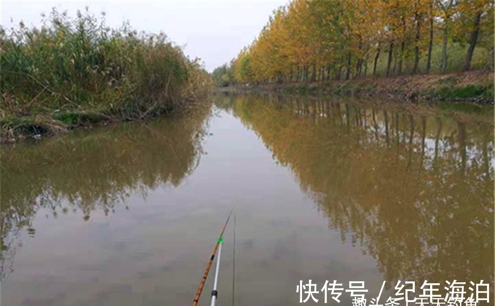 冬季钓鱼，根本就“无技巧”，空军还是爆护，差的仅仅只有这2步