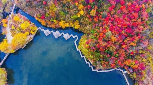 日本|山东耗资3亿的景区，由日本专家亲自打造，景观不输九寨沟