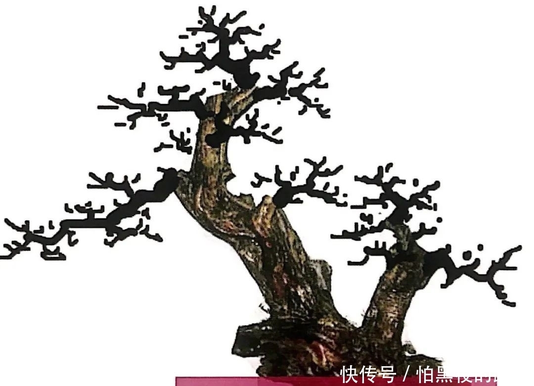 熟知雀梅习性后，临摹盆景设计案例，咱们的盆景作品指日可待！