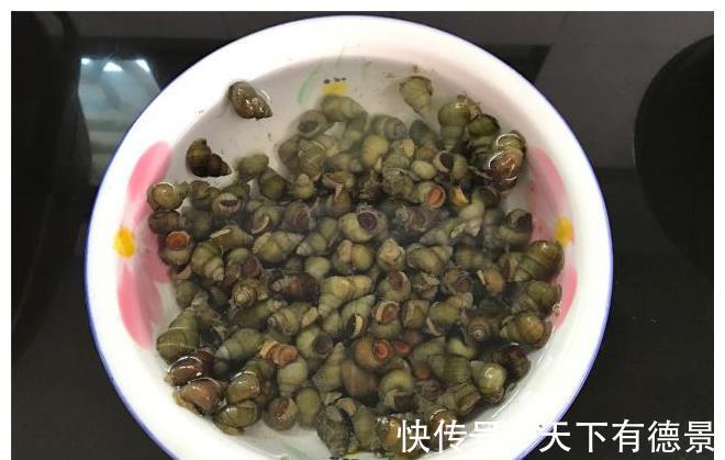 螺蛳|江南人最爱的下酒菜,四月吃它最肥美,5元吃一顿,百吃不厌!