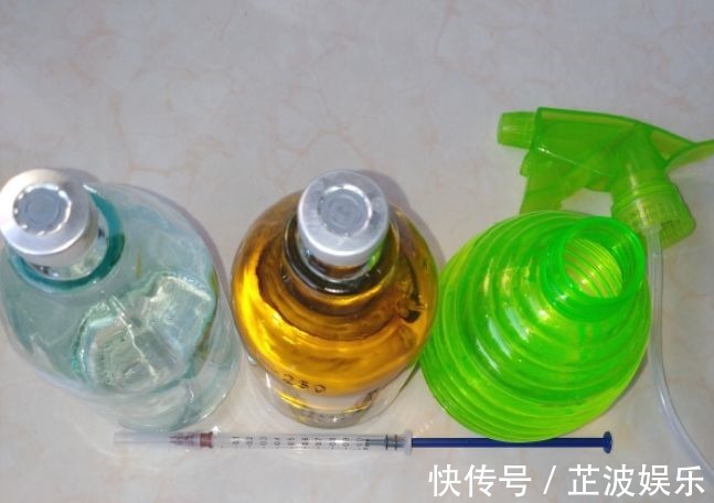 绿萝浇啤酒,文竹来勺糖,1个月嗖嗖长2米!