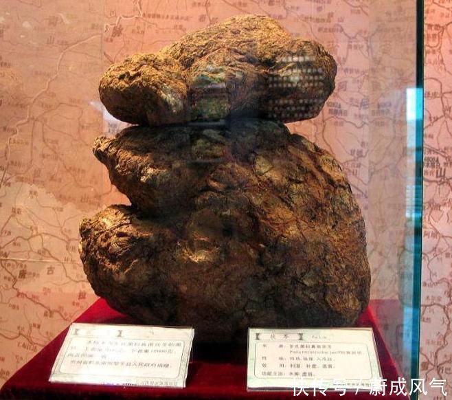 脾胃虚弱|一味中药被誉为能安魂养神,能调失眠健忘,还能健脾胃,除湿