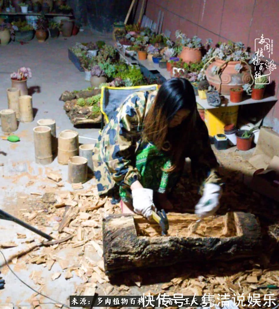 多肉遇上枯木木花盆，姑娘自己造！