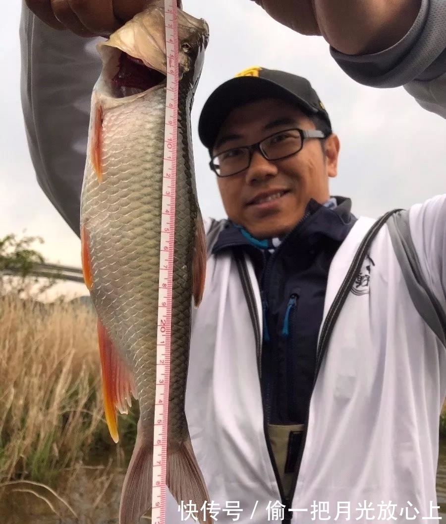 放生|河南钓鱼人钓获罕见“巨型马口鱼”，体长近50公分，随后放生