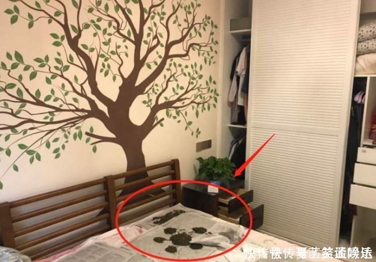 甲醛|新房刚装完直接开窗通风，差点把房子给毁了，都是无知惹的祸