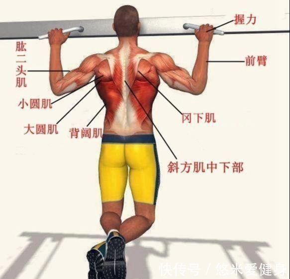 哑铃|溜肩的人适合练引体向上吗?