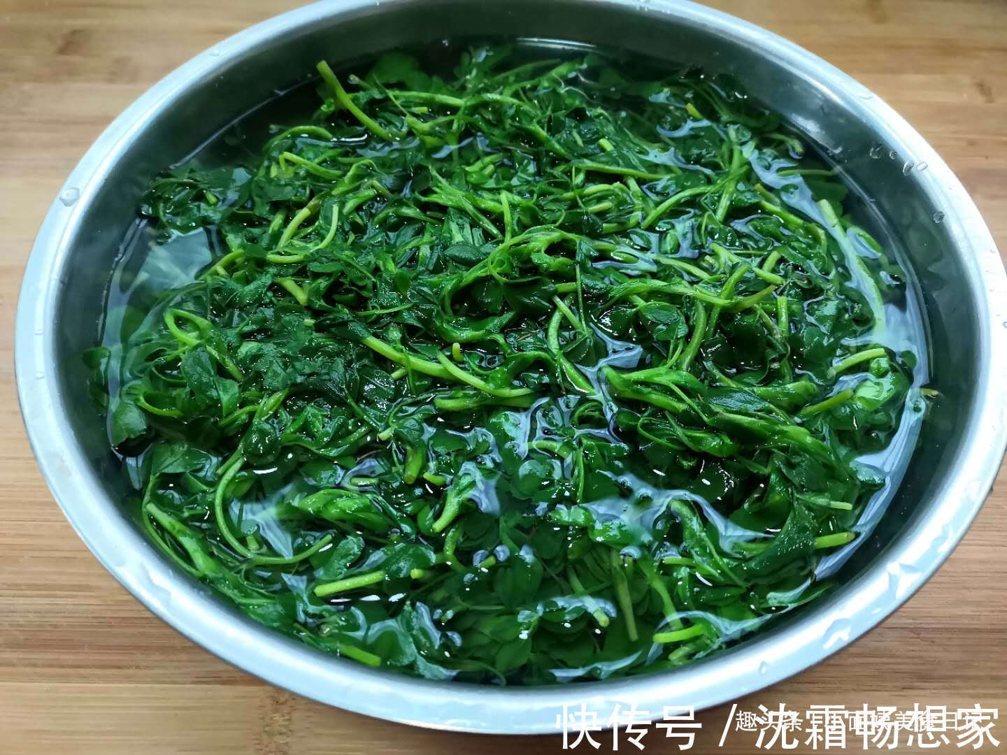 小面姨|3月这菜是个宝，半个月就老了，包饺子最好吃，清香多汁又营养！