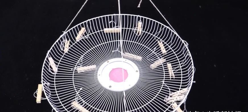 夹子|电风扇坏了不要扔,在中间加一个大塑料瓶,全家人看了都夸好