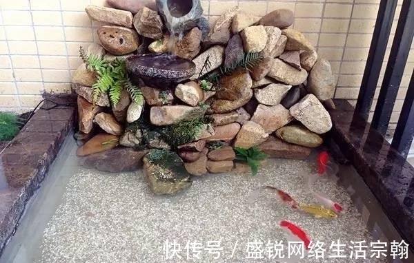 防水|老公在阳台做了个鱼池, 发到业主群里, 楼下直接找上门了!