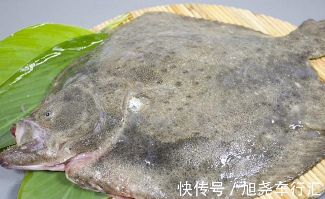 吃法|天热吃鱼，内行人专挑这4种海鱼，营养美味还便宜，再贵也值得