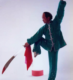 中国武术九段徐其成