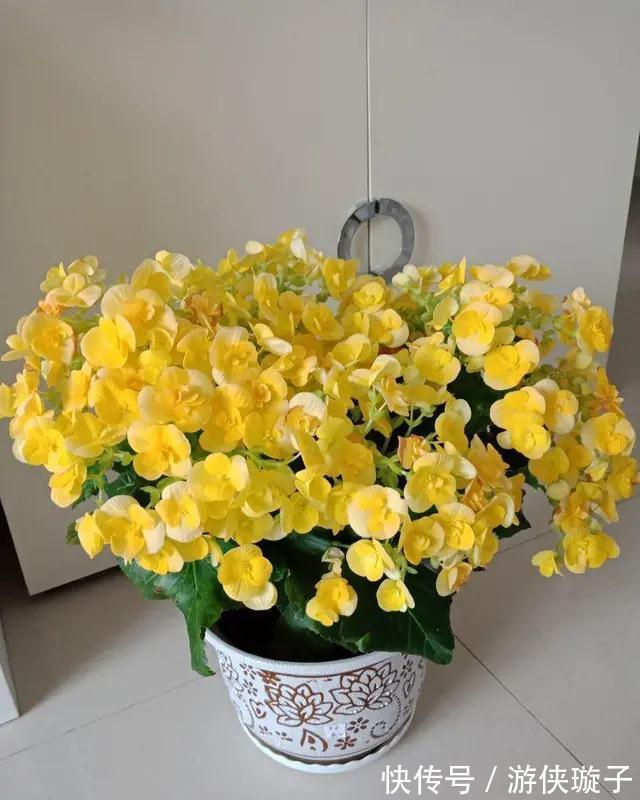 养花浇什么水好