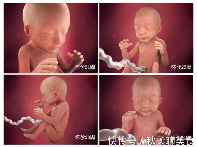 发育|胎儿40周变身记:从0.5厘米受精卵到50厘米宝宝,过程神奇