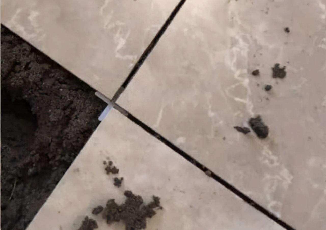 瓷砖|房子装修3个月，总结出20个装修大坑，真是吃力不讨好