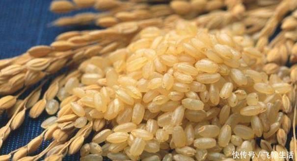 小孩|家里有小孩的,6种食物经常吃,增强记忆力,大脑更聪明