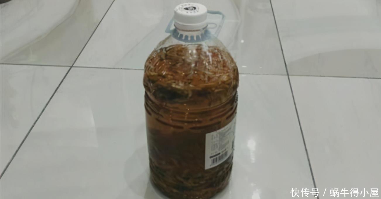 花草缺肥，不用特意找肥料了，拿这“废水”浇花，一举两得