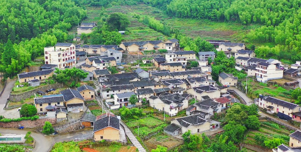 庆元县|茶旅融合 · 美丽薰山下 古朴清幽安逸