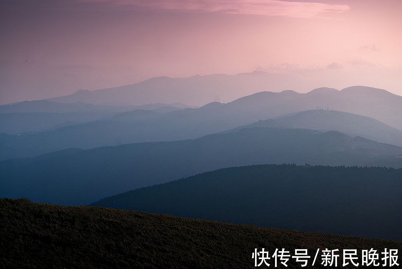 菠萝蜜|夜光杯 山里人家