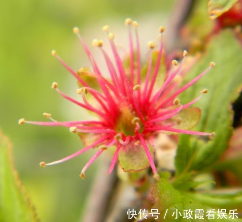 出门|到了11月，4属相好运袭来，财运旺盛，出门见喜，生活幸福美满