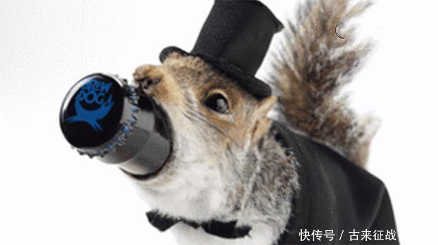 酒精度|苏格兰布鲁德酒厂:用动物的尸体做包装,啤酒卖765美元一瓶