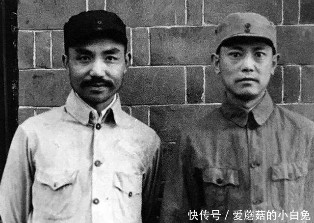 总理|建国后,副总理级别的干部中,这个人最特殊,没有任何职务