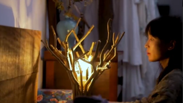 曬曬李子柒住的豪宅,四周全是農(nóng)田植物,生活在這里仿佛世外桃源