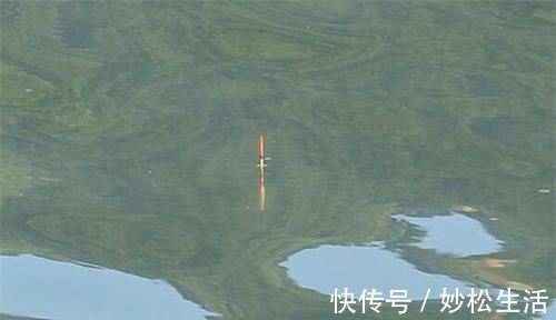 冬季用活饵钓鱼,试试这三种调漂方法,中鱼率超高!