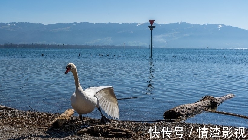 桃花正旺，旧情未了，缘分再起，幸运降临，拥抱爱情.