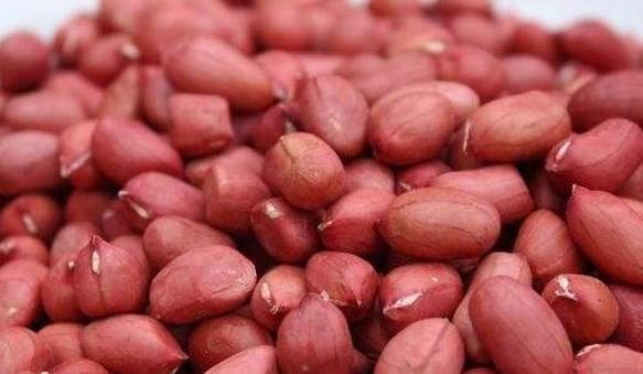 花生米|坚持每天早上吃花生,半月左右,八成会有3个好处“不请自来”