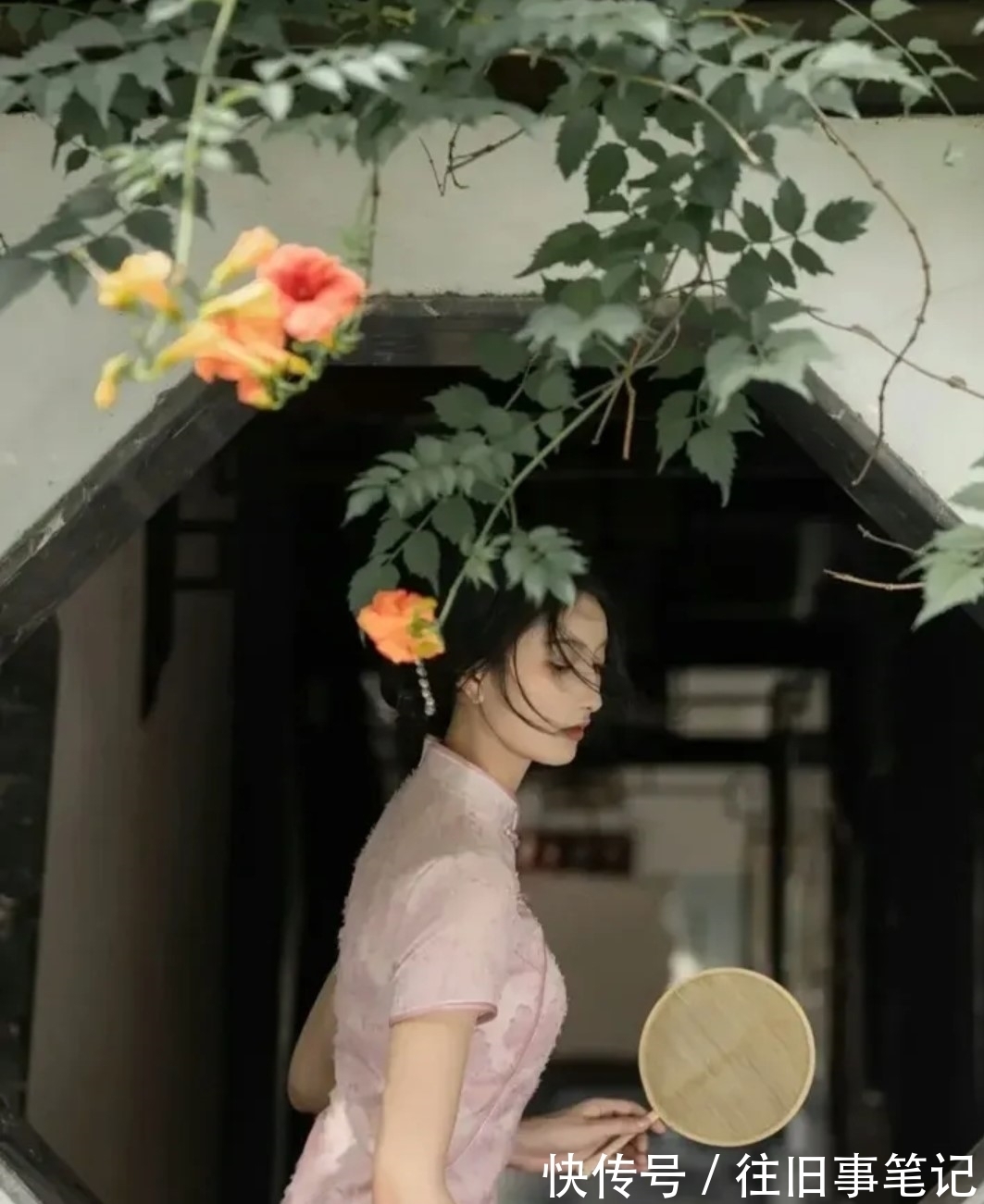 桃花阵@蝶恋花·弹指夭夭