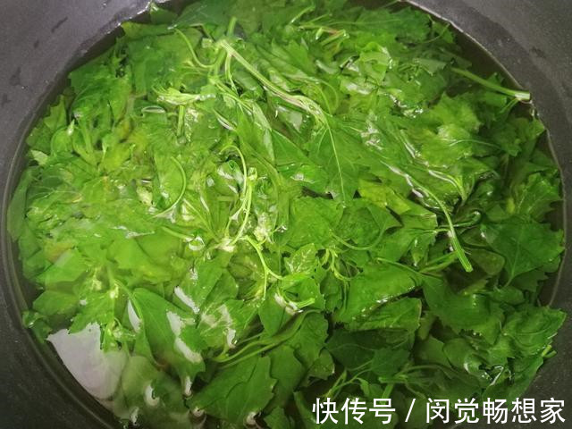 老化会|人没老,腿先老!路边的“天然钙库”,补钙比鸡蛋强太多,还免费