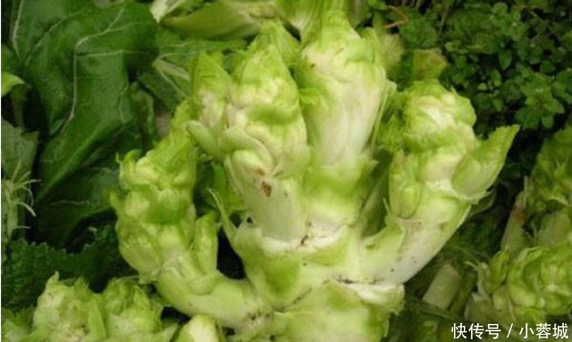 女生可以多尝一尝这道菜,刮油减脂,美白补水的养生蔬菜