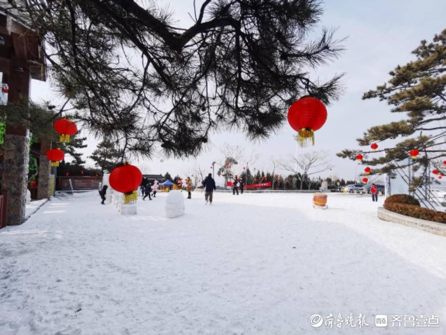 跑马岭|虎啸春来丨春节期间，来跑马岭感受沉浸式冰雪乐园