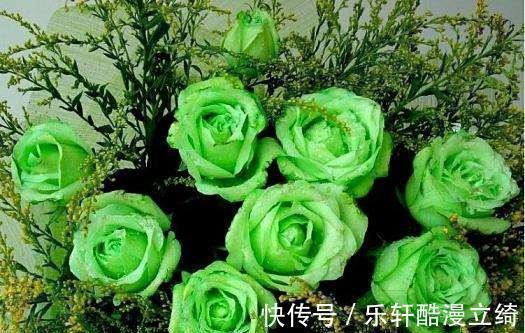 天蝎|未来15天，合欢花开，旧爱归来，4大星座转角相遇，爱火重燃