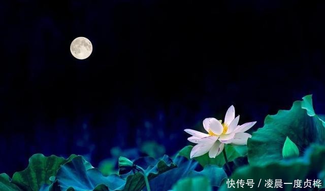 岱松|岱松集|夜深露重人归去,剩却清香入梦中