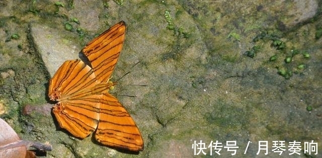 |2首千年前的幽默诗词,机智过人,文采过人,让人津津乐道