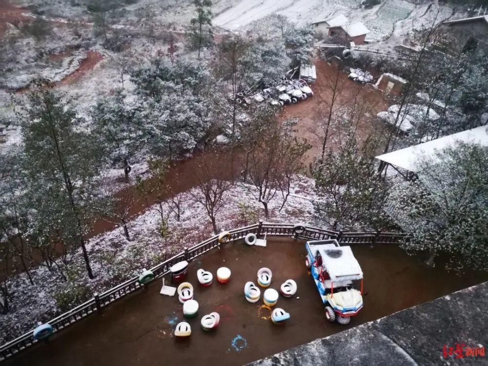 昨天|它来了，它带着“头皮雪”来了！昨天半夜，有成都人带着手电筒找雪！