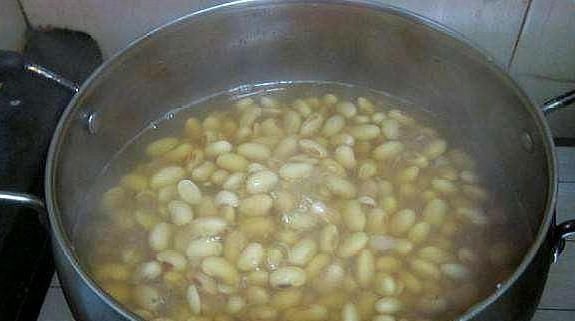 大神养金枝玉叶,每月喂上“1碗汤”,枝粗叶绿,2年成高价老桩