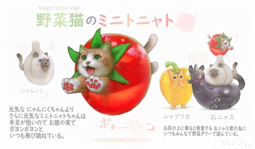 精灵|世界上最菜的狗能有多菜？这个日本人给出了意想不到的答案