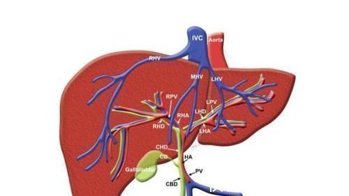肝脏|睡觉时出现5个症状，可能是肝脏“上火”了，早了解早治疗