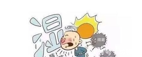 碱性食物|湿气的“死对头”,晚上吃一些,湿气排得一干二净,体重也下降了