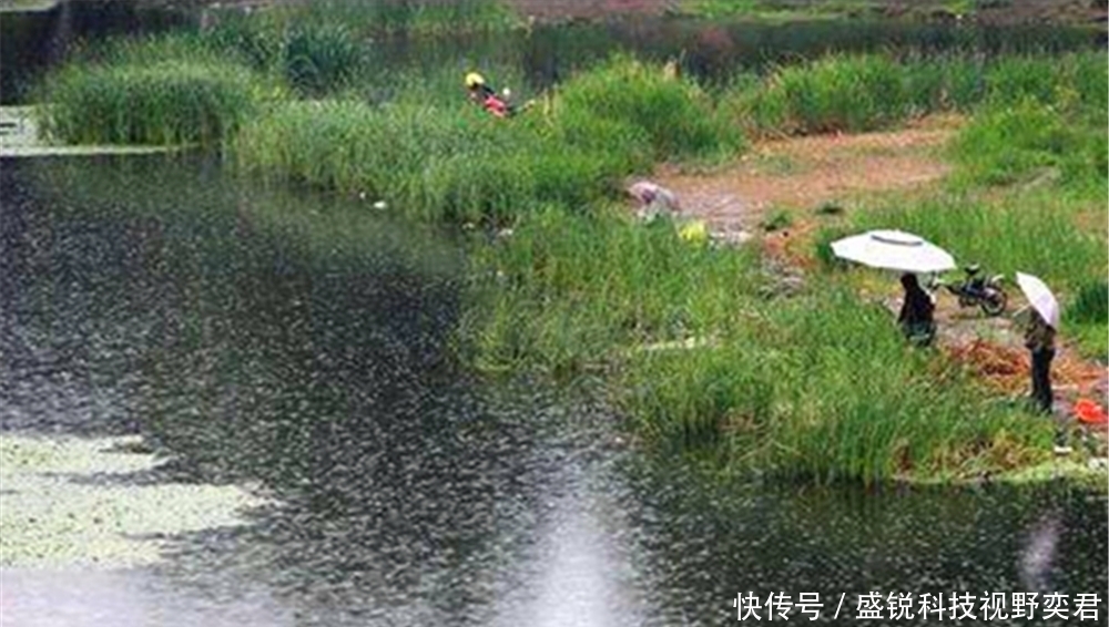 晚春钓鱼经常空军？你需要换个思路，做几个调整，渔获才有保证！