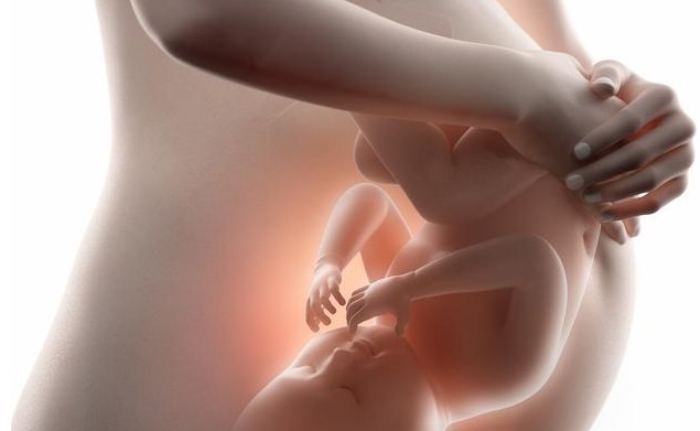 胎儿|“胎心151，后壁，双肾未分离”，医生夸宝宝优秀，暗示啥