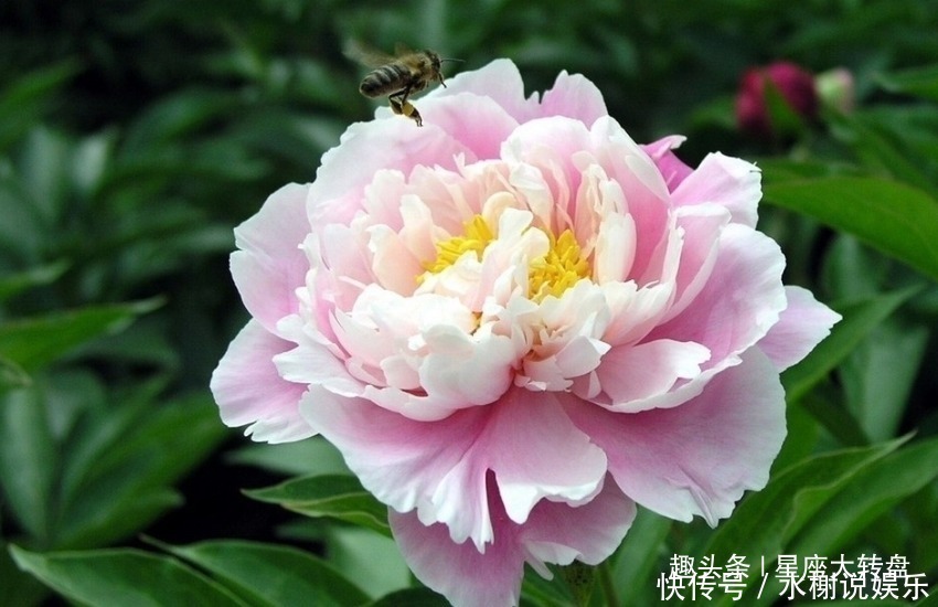 丈夫|不会“忘恩负义”的三个生肖女,只要丈夫对她好,就会守护一辈子