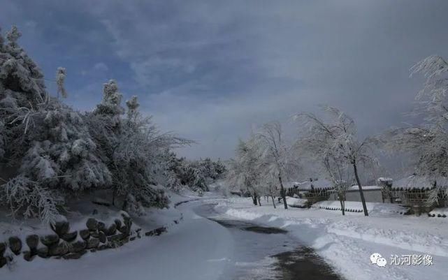 雪后王莽岭，美得不要不要的！