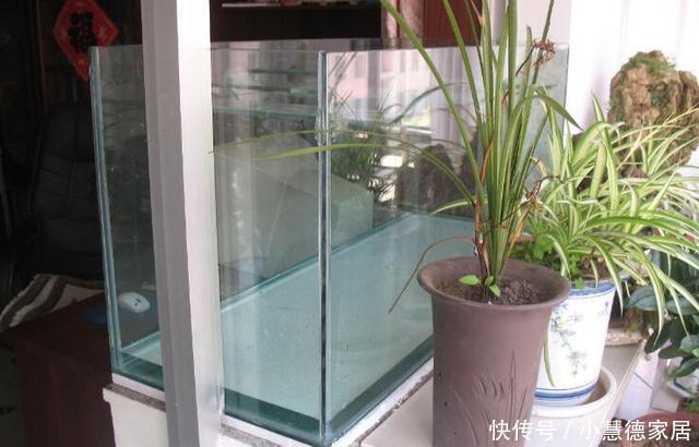 同意|打算在阳台砌鱼池,物业不同意,只好放个鱼缸,邻居看了赞不绝口