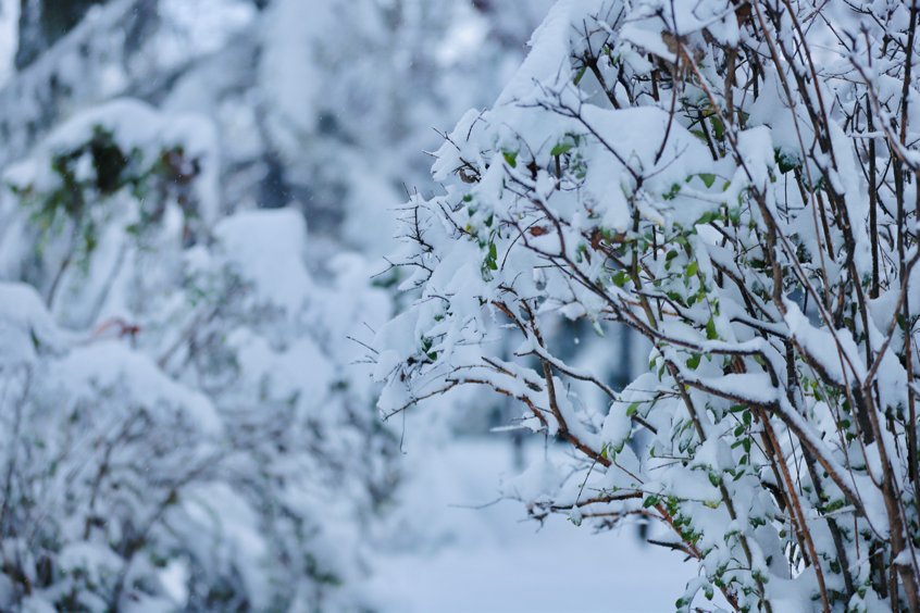 冬雪|山传初雪，许你一场深情共白头